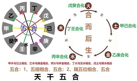 天干克|天乾的相生、相剋、相合、相衝關係；以及天乾的五行。